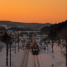 Morning glow train XV