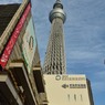 2014/1/28　東京スカイツリー　01