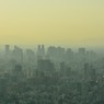 2014/1/28　東京スカイツリー　03