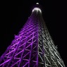 2014/1/28　東京スカイツリー　18