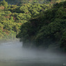 朝の川面