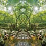 「四季」Natural beauty psychedelic　7