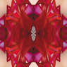 「四季」Natural beauty psychedelic　9