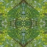 「四季」Natural beauty psychedelic　10