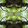「四季」Natural beauty psychedelic　21