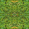 「四季」Natural beauty psychedelic　23