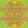 「四季」Natural beauty psychedelic　25