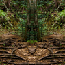 「四季」Natural beauty psychedelic　21