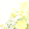 a day like this -6-