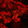 命color