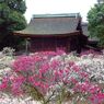 道明寺天満宮　１