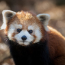 多摩動物公園