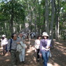 桜井茶臼山古墳