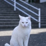 長崎市　城山公園２