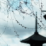 八坂の塔