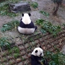 パンだの昼食