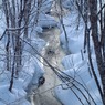 解氷