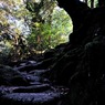道