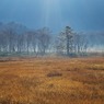 朝霧の尾瀬ヶ原ー朝日に浮かぶ