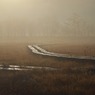 朝霧の尾瀬ヶ原ー朝日に光る木道
