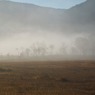 朝霧の尾瀬ヶ原ー霧の中に浮かび来る2