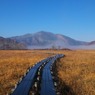 朝霧の尾瀬ヶ原ー至仏山