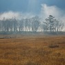 朝霧の尾瀬ヶ原ー朝日に浮かぶ2
