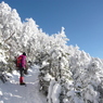 白銀の雪山散歩