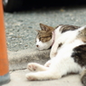 うーん