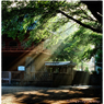 喜多院　小江戸川越散歩01