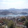 向島