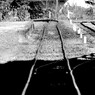 人生行路