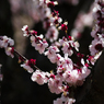 ume 3