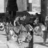 ここ、猫がおおいでしょ～