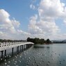 ３月の空