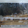 P1130048