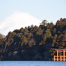 DSC_0057　芦ノ湖H26.3