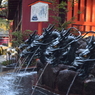 DSC_0067　箱根神社H26.3