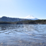 DSC_0277　西湖H26.3
