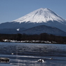 DSC_0294　精進湖H26.3