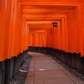 千本鳥居