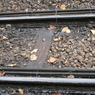 トロッコ列車の線路