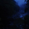 幻想かずら橋