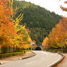 末武川ダムの紅葉
