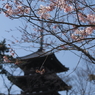 三重塔遠景