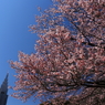 花に塔