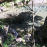 蓼科山の沢