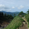 八甲田山