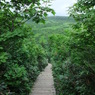 八甲田山