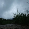八甲田山